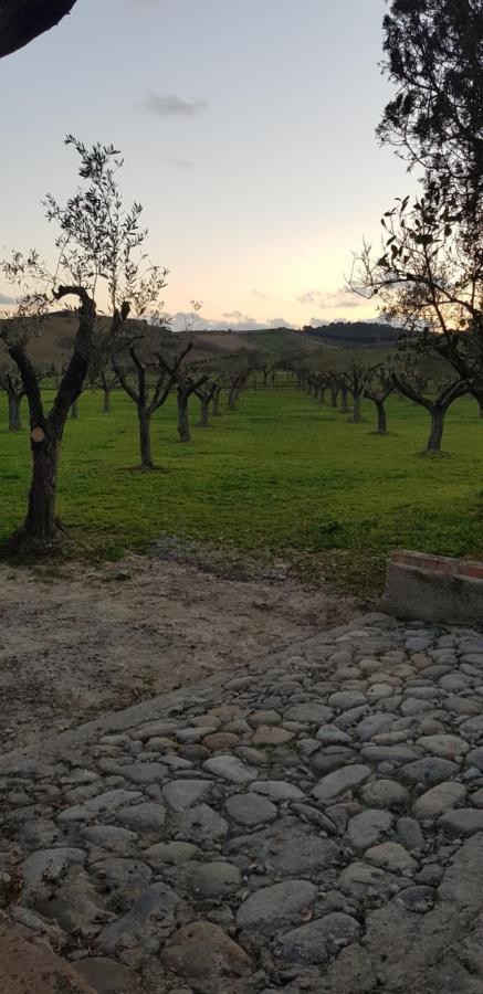 Agriturismo La Mandragola Relais Crotone Exterior foto